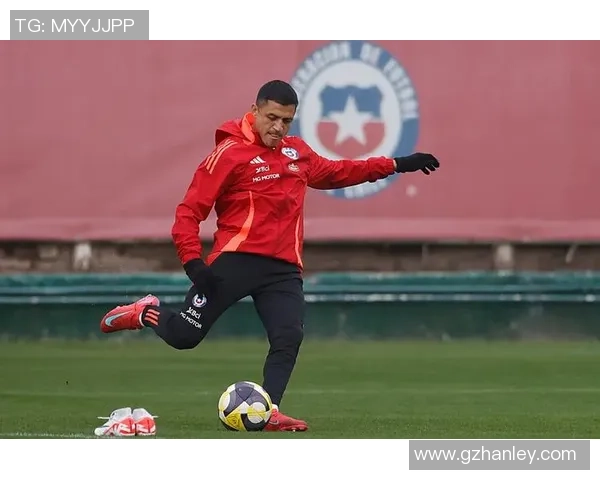 智利现役足球队球星名单及其在国际赛场的表现分析